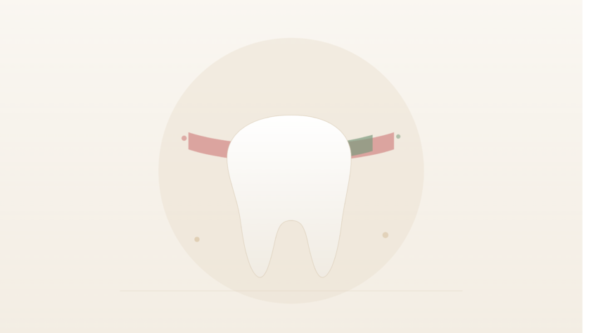 Illustration of a single tooth emerging from a gum line that shifts from inflamed red on one side to healthy green on the other, symbolizing the transition from gum disease to gum health.