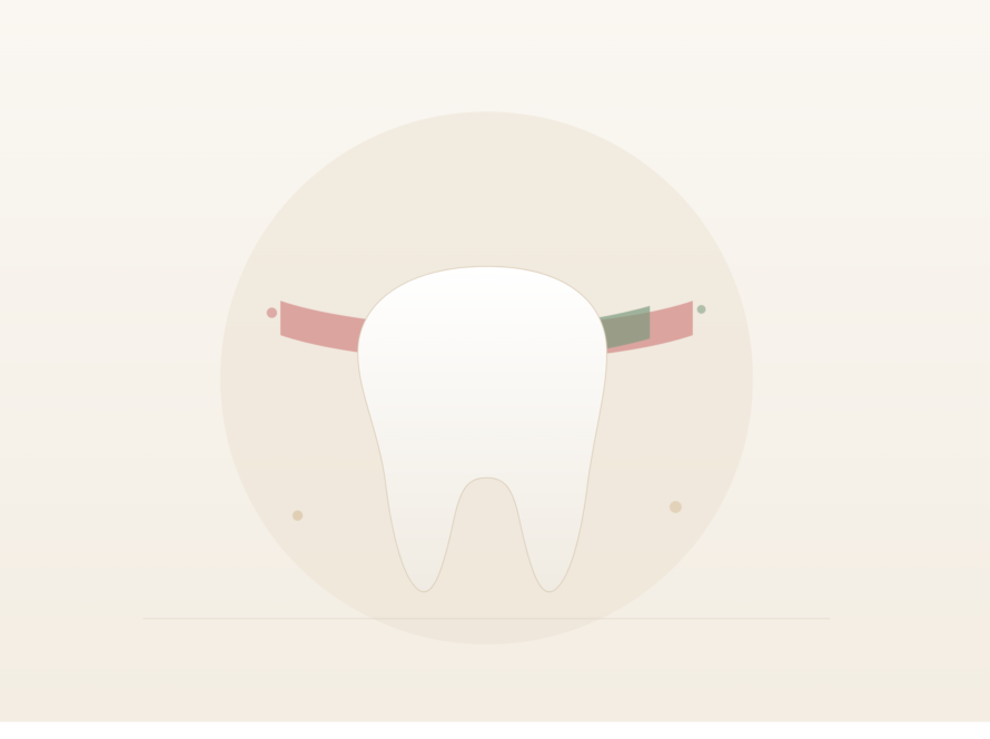Illustration of a single tooth emerging from a gum line that shifts from inflamed red on one side to healthy green on the other, symbolizing the transition from gum disease to gum health.